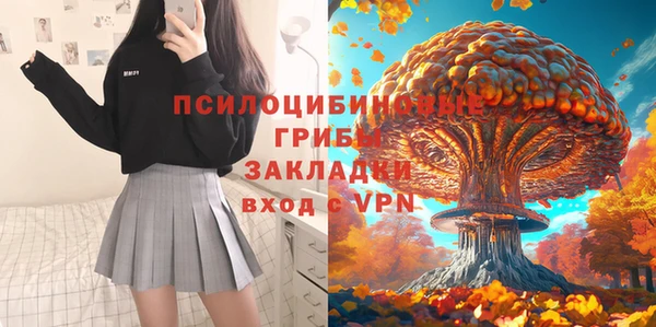 spice Абаза