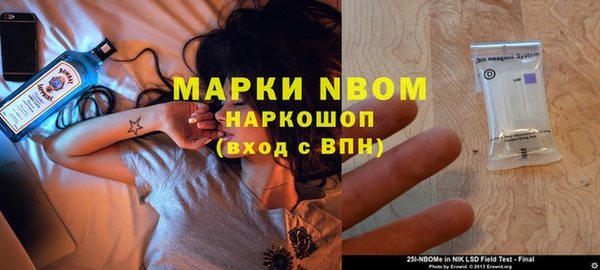 крисы Алексин