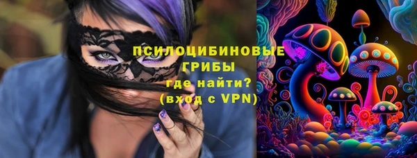 соль курить ск Алзамай