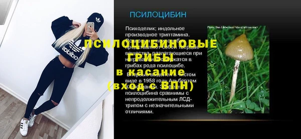 spice Абаза